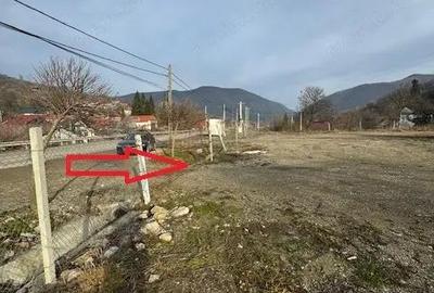 Teren de vanzare 2.631 mp, Slanic Moldova - Ciresoaia, Bacau - 19