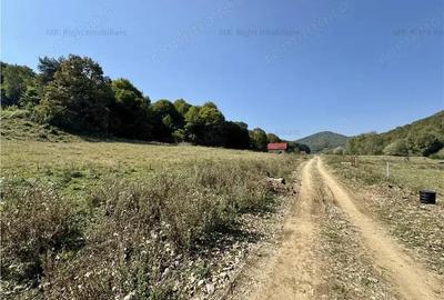 Teren de 660 mp, în Măieruș - 8