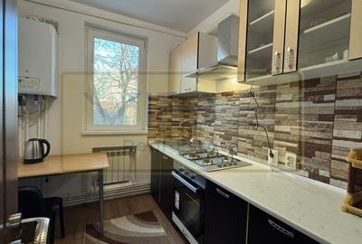 Apartament 2 camere T.Vladimirescu Iulius Mall - 18