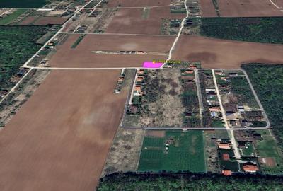 Teren Construcții intravilan de 800 mp, în Ciofliceni - 3