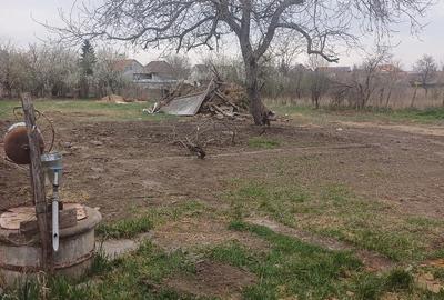 Casă cu Teren 1230 Mp în Sălard - 1