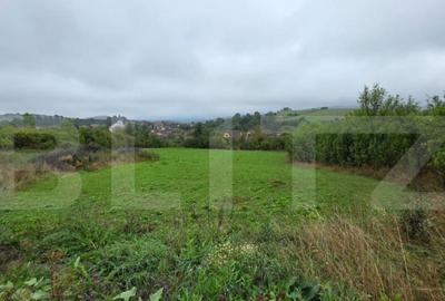 Teren Sigmir, parcelat, toate utilitatile, 880 mp - 4