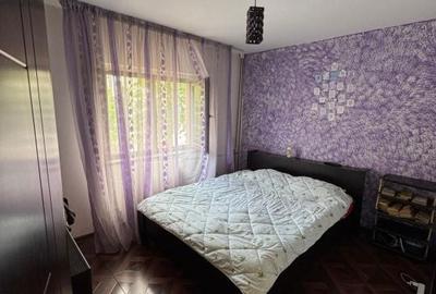 Apartament cu 2 camere semidecomandat în Craiovița Nouă - 2