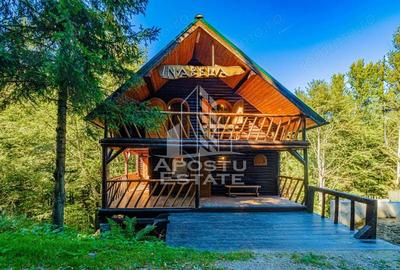 Casă cu 6 camere cu Teren 120 Mp în Râu de Mori - 6