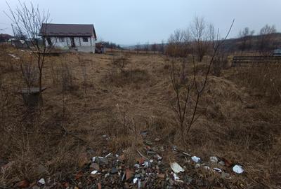Teren intravilan de 833 mp, în Cornești - 5