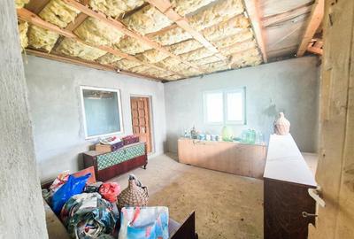 Casa Borlesti Merisani Arges - 12