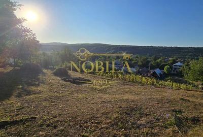 Teren de 10537 mp, în Bogdănești - 2