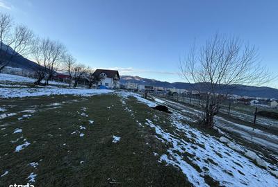 Spațiu comercial, în Central