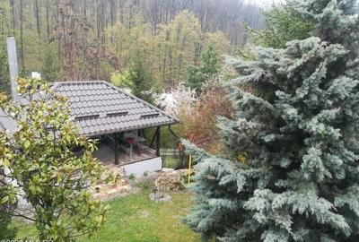 Topoloveni - Conacul Ion Mihalache, Domeniu pe 5 Hectare - 42