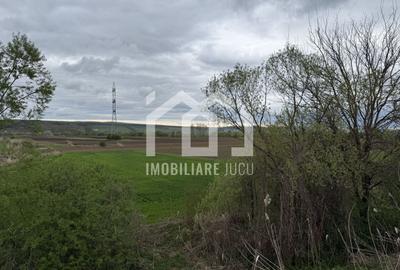 Teren Construcții intravilan de 1738 mp, în Jucu de Sus - 4