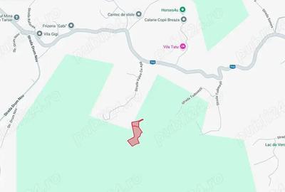 Teren de 6376 mp, în Valea Târsei - 3