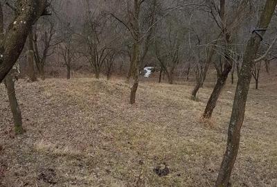 Teren de 1700 mp, în Olănești - 7