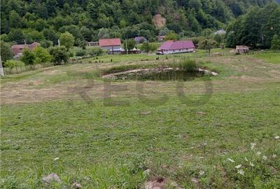 Teren de 9600 mp, în Bulz - 4