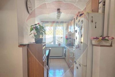 Apartament doua camere vis a vis de Vila Flora Medias - 8