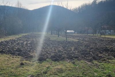Teren de 3700 mp, în Certeju de Sus - 10