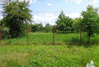 Vila de vanzare langa Dorohoi (Pascari), Botosani - 11