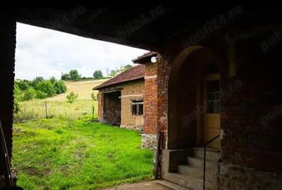 Casă cu Teren 11000 Mp în Dumbrăvița - 1