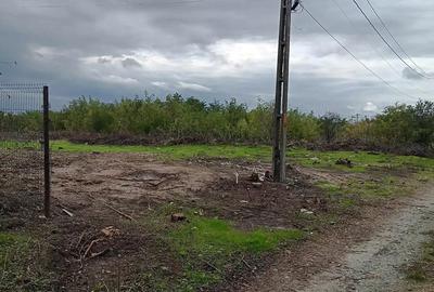 Teren de 3350 mp, în Rasa - 3