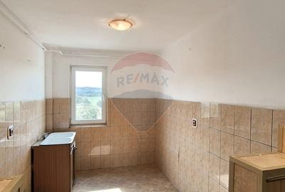 Apartament 2 camere in cartierul Gura Campului - 4