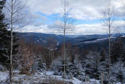 Teren de 15000 mp, în Fundu Moldovei