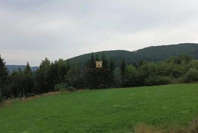 Teren de 5023 mp, în Voroneț - 8