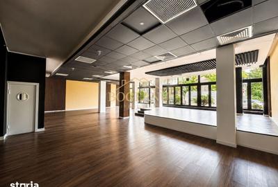 Spațiu comercial, de 400 mp, în Elisabetin - 2