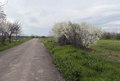 Teren de 700 mp, în Sinești - 3