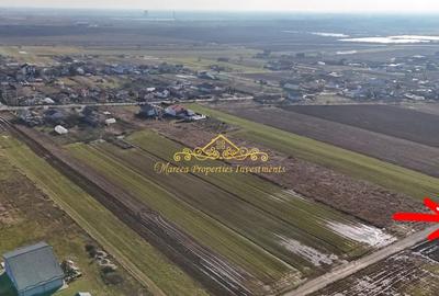 Teren de 10000 mp, în Ulmi - 1