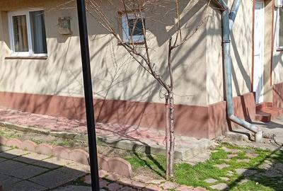 Casă cu 1 camere cu Canalizare în Industriilor - 1