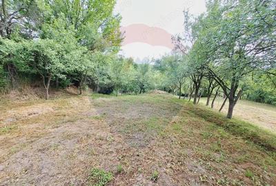 Casa cu teren 3100mp in Hidiselu de Sus - 14