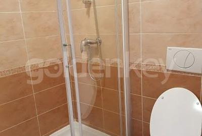 Apartament luminos cu 2 camere in zona Dorobanti - 6