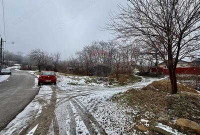 Casă cu Teren 1218 Mp în Vitănești - 20