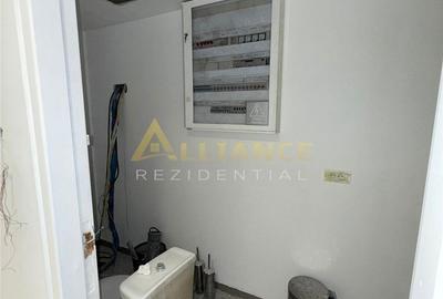 Spațiu comercial, de 233 mp, în Central - 9