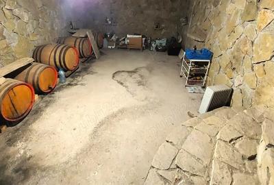 Casă cu 4 camere cu Teren 800 Mp în Kogălniceanu - 9