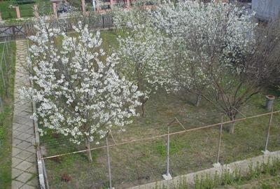 Casă cu 5 camere cu Teren 2100 Mp în Ordoreanu - 10
