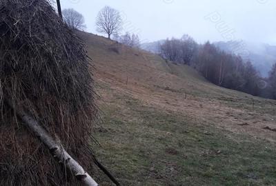 Teren de 11606 mp, în Vișagu - 2