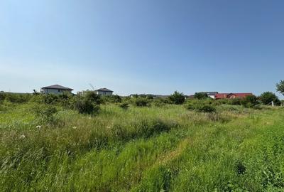 Teren Intravilan | Magurele | 4000 mp | Curent si Gaz - 2