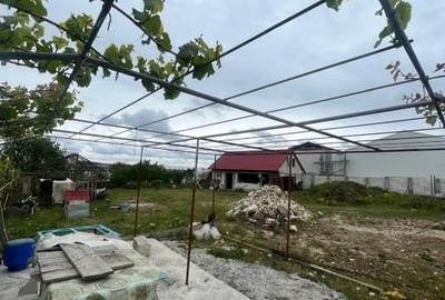 Teren Construcții intravilan de 1500 mp, în Lumina - 3