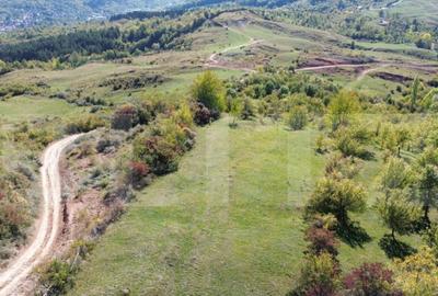 Teren extravilan, 41.631,00 mp, zona Pietrosita - 18