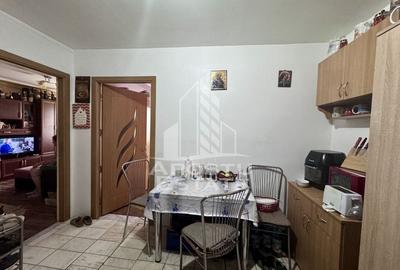 Apartament cu 2 camere, mobilat, zona Aradului - 6