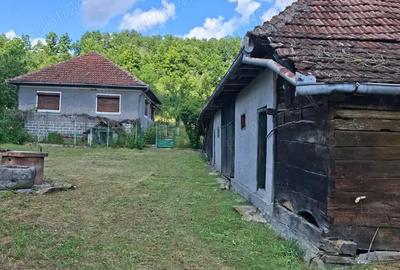 Casă cu 3 camere în Tomești - 1