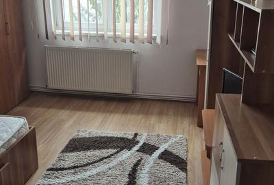 Garsonieră decomandată în Vasile Aaron - 5