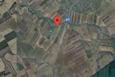 Teren de 6666 mp, în Alioș - 5