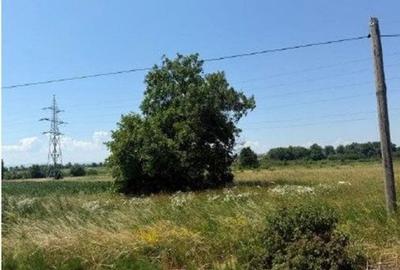 Teren Horodnic de Sus, cota parte 25/104, ID: R2660174 - 16