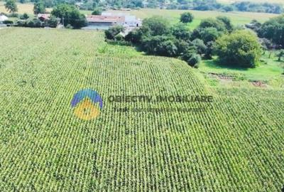 TEREN intravilan 9.126 mp - comuna STEFAN cel MARE - 11