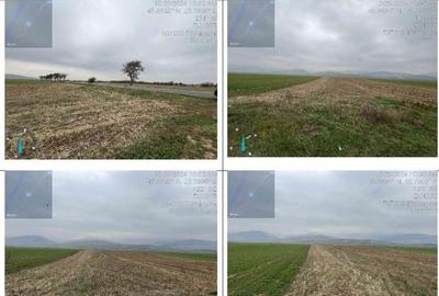 Cota parte 1/2 teren Tarlungeni, ID: R2373793 - 4