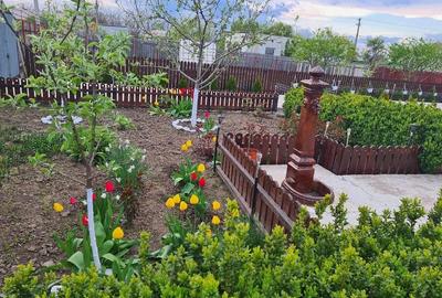 Casă cu 4 camere cu Teren 1049 Mp în Corbu (Glodeanu-Siliștea) - 8