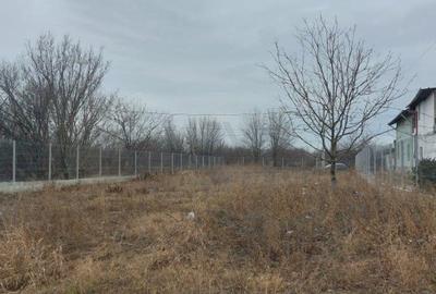 REL4001245 Teren Hala - Ideal Investitie - 2