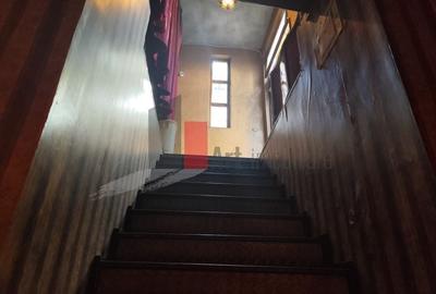 Spatiu comercial (club) de inchiriat in zona Armeneasca/Rosetti/Mosilor - 10