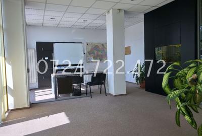 Splaiul Unirii 223, Bucuresti, proprietar - 3